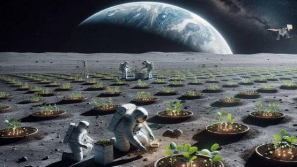 ناسا تخطط لزراعة النباتات على القمر لتغذية البعثات الفضائية