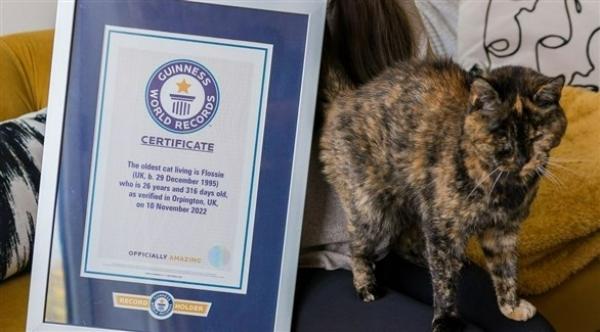 عمرها 27 عاماً... "فلوسي" تتوج  كأكبر قطة حية في العالم