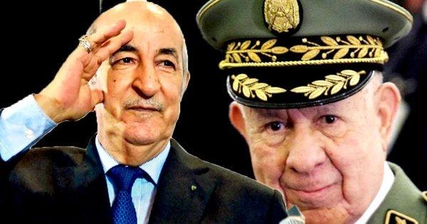 الجزائر: إلى أين يسير بها قادتها بغبائهم وسباحتهم ضد التيار؟
