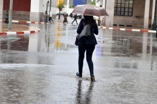 مقاييس التساقطات المطرية التي شهدتها مدن المملكة خلال 24 ساعة الأخيرة