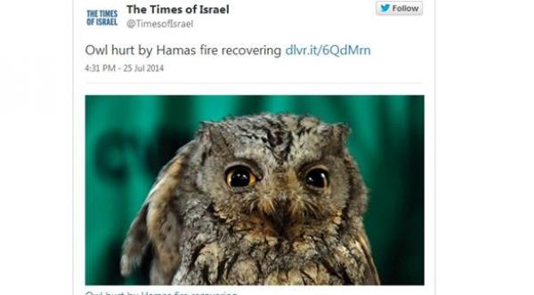 صحيفة إسرائيلية تتباكى على "جرح" بوم بصواريخ حماس