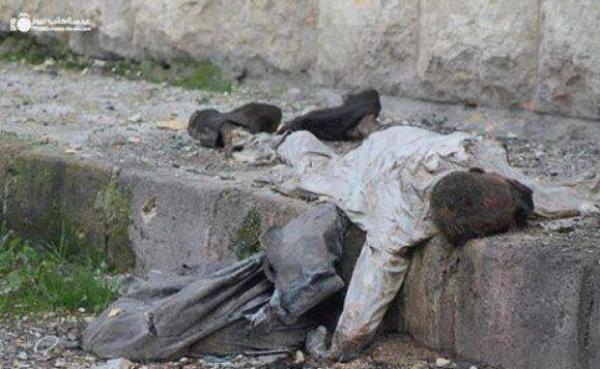 صورة الطفل السوري وسيم زكّور &quot;مات جوعاً” تثير غضب الفيس بوك
