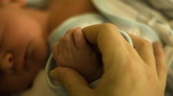 دراسة: ثلث حالات زرع المبيض نجحت في الحمل