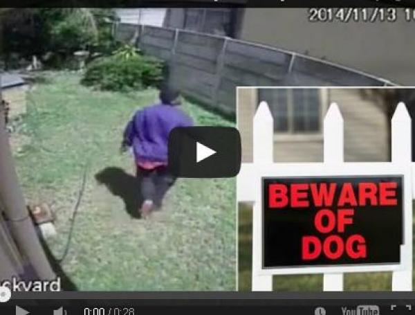 بالفيديو.. كلب حراسة يهاجم لصًا بشراسة ويحبط سرقة منزل