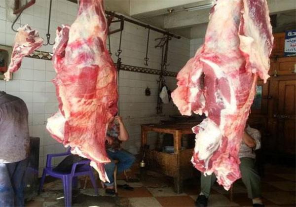 الدار البيضاء : حجز أطنان من اللحوم الفاسدة الموجهة نحو محلات الجزارة