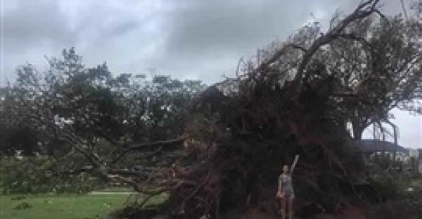 عاصفة أسترالية تتقاذف الأشجار كالأوراق (فيديو وصور)