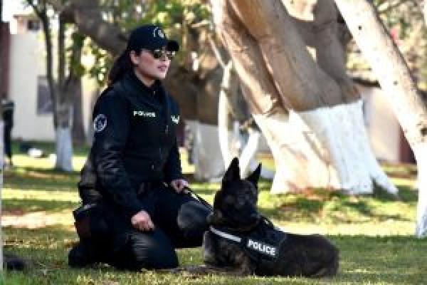 شرطيات المغرب يقتحمن عالم تدريب الكلاب البوليسية (صور)