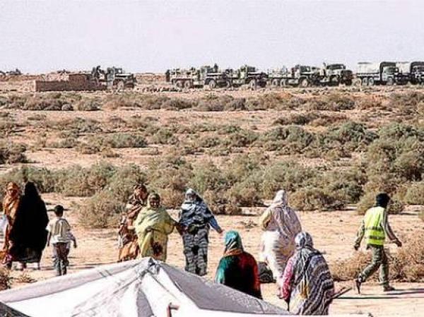 الجزائر تسعى لنقل صحراويين من المخيمات إلى المنطقة العازلة لاستخدامهم كدروع بشرية في حرب استنزافية ضد المغرب