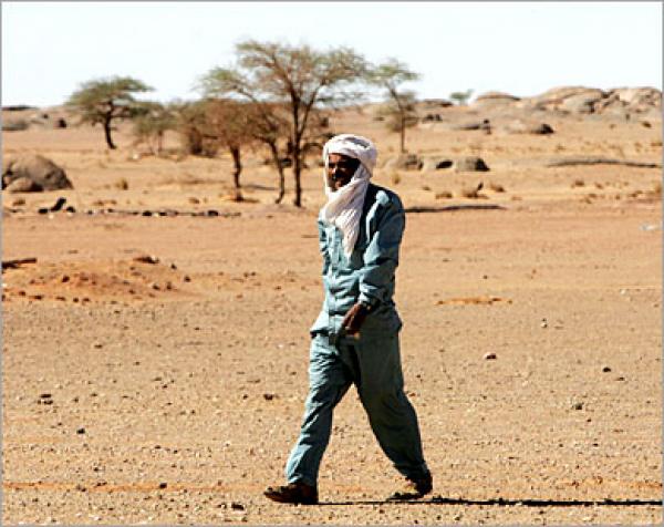 الأمين العام للأمم المتحدة يرغب في إعادة إطلاق مسلسل المفاوضات في قضية الصحراء المغربية