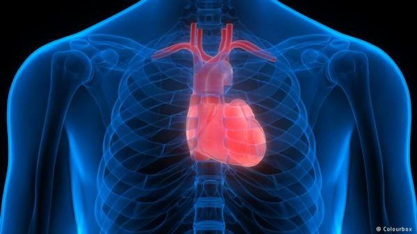 باحثون ينجحون في ترقيع أنسجة القلب من دون جراحة