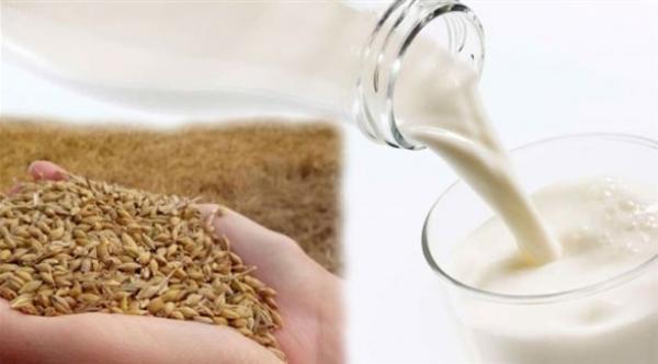 ما هي حاجيات الجسم من الحليب والملح والقمح في اليوم؟