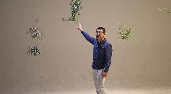 بالصور: نباتات صينية تنمو في الهواء