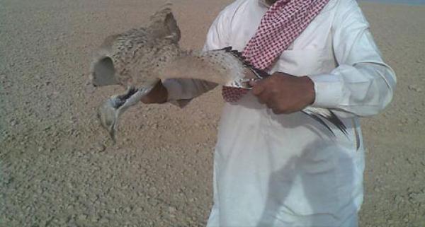 أمير قطر يزور الجزائر لصيد الحبار