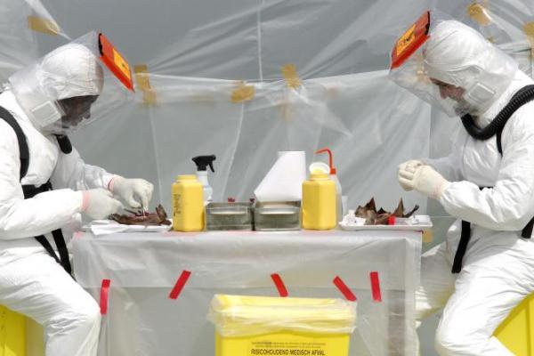 هل سيستخرج العلماء علاج "الإيبولا" من الخفافيش ؟