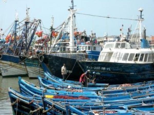 تفاصيل مصادقة في لجنة الصيد بالبرلمان الأوروبي على اتفاق الصيد مع المغرب