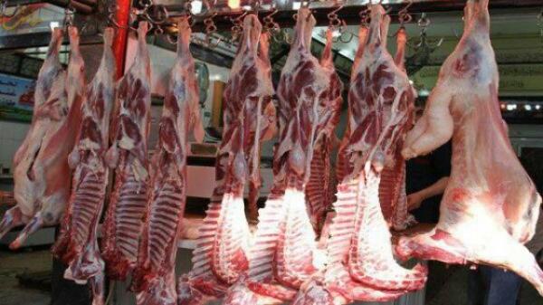 الحكومة تُقِر إجراءات عاجلة لتخفيض أسعار اللحوم الحمراء في الأسواق قبيل حلول رمضان
