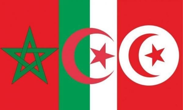 ارتماء تونس في أحضان الجزائر على حساب المغرب انتحار سياسي وغباء ديبلوماسي حسب تقرير أمريكي