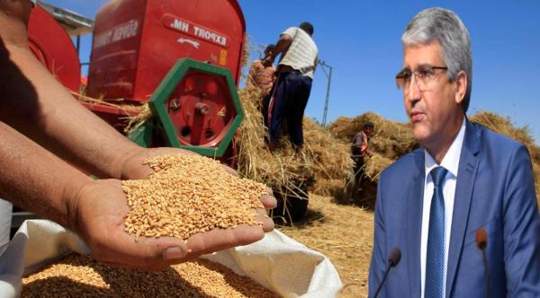 برلماني يفجر معطيات مثيرة تتعلق بـ"تلاعبات" في مخزون المغرب من "القمح اللين"ويطالب بفتح تحقيق عاجل