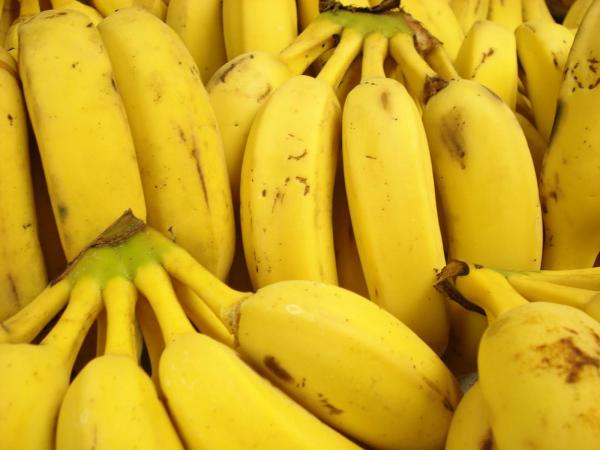 أيهما الأفضل .. الموز الناضج أم الموز غير الناضج ؟