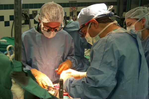 أول عملية جراحية لزرع الكبد بمستشفى ابن رشد تكلل بالنجاح