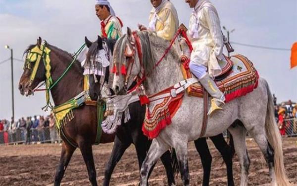 مهرجان التبوريدة ببوزنيقة.. تنظيم مزاد علني لبيع الخيول