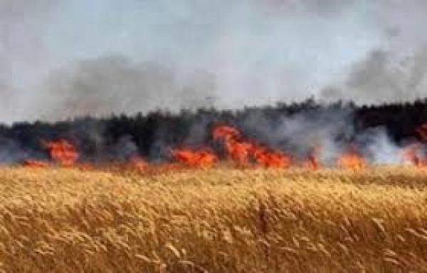 تاونات: حريق ببوعروس يخلف خسائر مادية جسيمة‏