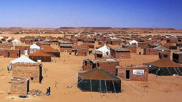 قضية "اللاجئين الصحراويين" أصبحت عبارة عن " مقاولة تجارية عابرة للحدود " يستفيد منها جنرالات الجزائر وقادة "البوليساريو"