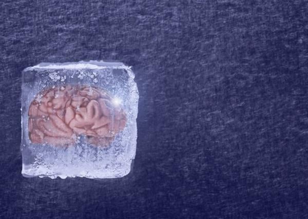 علماء صينيون ينجحون في إعادة دماغ متجمد إلى الحياة