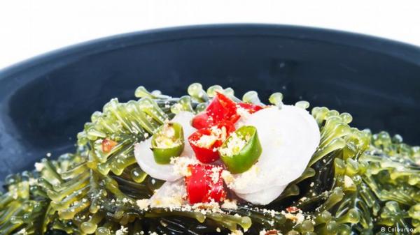 للطحالب البحرية فوائد "مذهلة" لا يعرفها إلا الآسيويين