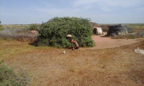 في خاطر موازين ...فايسبوكيون يطلقون نداء مساعدة لأسرة مغربية تعيش في شجرة (صور)