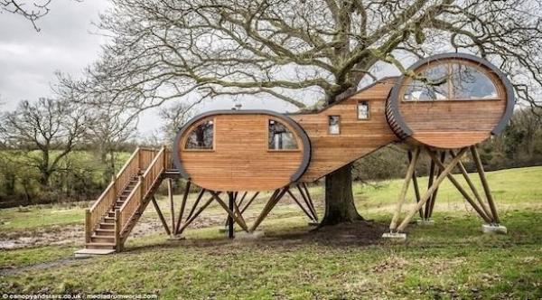 هل هذا أغرب منزل سياحي بني على شجرة في العالم؟