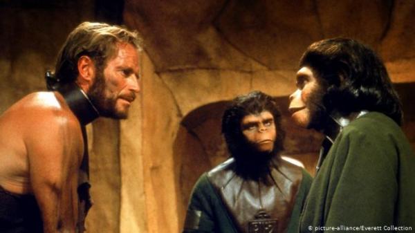 زرع جينات بشرية بأدمغة القرود ..هل تتحق قصة أفلام "كوكب القرود"؟