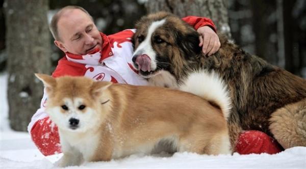 روسيا ترفض "كلباً" اعتزمت اليابان إهداءه لبوتين