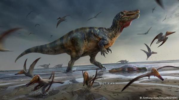 بطول 10 أمتار .. اكتشاف متحجرات "أكبر ديناصور مفترس" في أوروبا