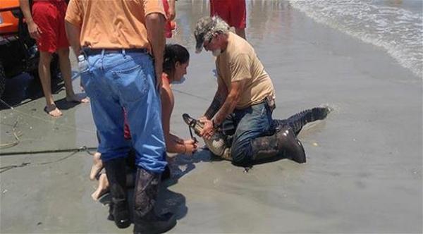 بالفيديو: شاهد كيف اصطاد هذا الرجل تمساحاً من البحر