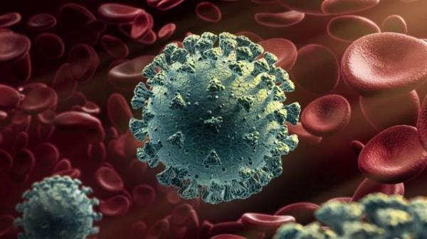 علماء: سلالة فيروس كورونا الجديدة "قد تصيب الأطفال أيضا "
