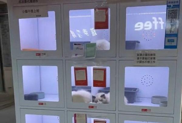ماكينة بيع الحيوانات الأليفة تثير غضباً واسعاً في الصين