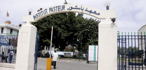معهد باستور المغرب يكشف حقيقة الإستعانة بمختبرات دولية بسبب تدهور خدماته