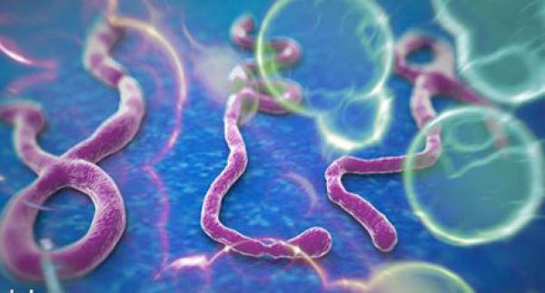 فيروس «إيبولا» القاتل.. الأسباب والأعراض وطرق الوقاية