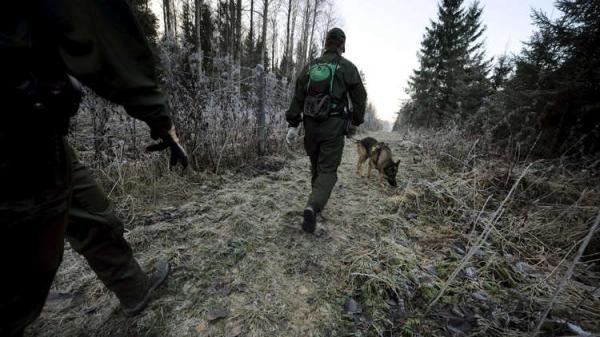 فنلندا بصدد إنشاء سياج على حدودها مع روسيا تخوفا من حمى الخنازير