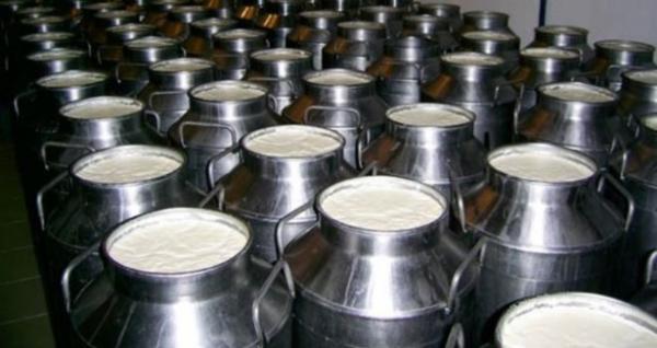 كارثة : صنع ألبان ومشتقات الحليب من مواد كيماوية سامة بإنزكان