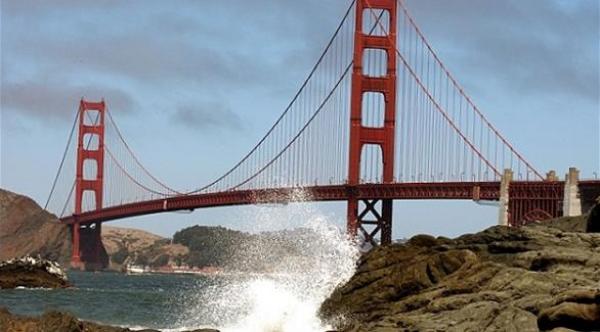 أسد بحر ينقذ رجلاً حاول الانتحار من على جسر بولاية كاليفورنيا