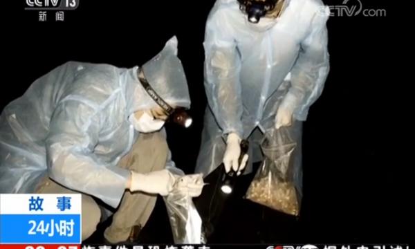 بالتزامن مع زيارة منظمة الصحة للصين ..علماء في معهد ووهان للفيروسات يكشفون تعرضهم لعض الخفافيش