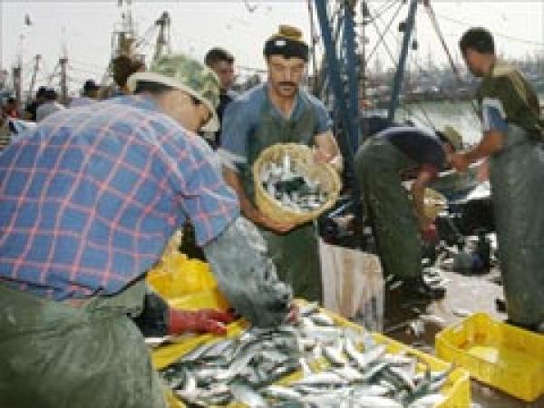 المغرب والاتحاد الأوروبي يمددان اتفاقية الصيد البحري إلى سنة 2015
