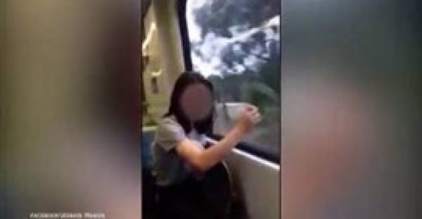 بالفيديو.. مراهق يخرب نوافذ القطار في وضح النهار