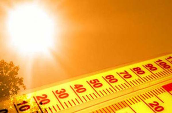 ارتفاع حاد في عدد الأيام شديدة الحرارة في أكبر عواصم العالم