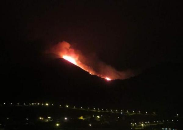 السيطرة على حريق التهم حوالي 352 هكتارا من غابة غوروغو بإقليم الناظور