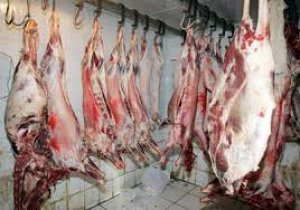 أمين الجزارين بتمارة ل "أخبارنا المغربية " : هذه حقيقة اللحوم الفاسدة التي تم ضبطها ( الفيديو )