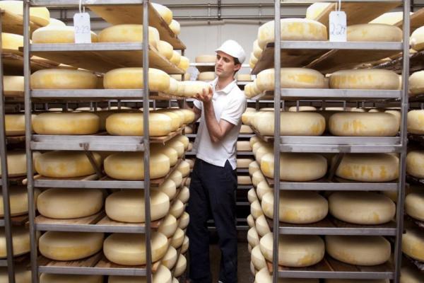 الولايات المتحدة تسجل أعلى مخزون من الجبن منذ 30 عاما