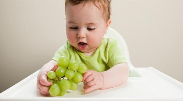 الأطعمة الصلبة في سن 9 أشهر تشكل بكتريا الأمعاء